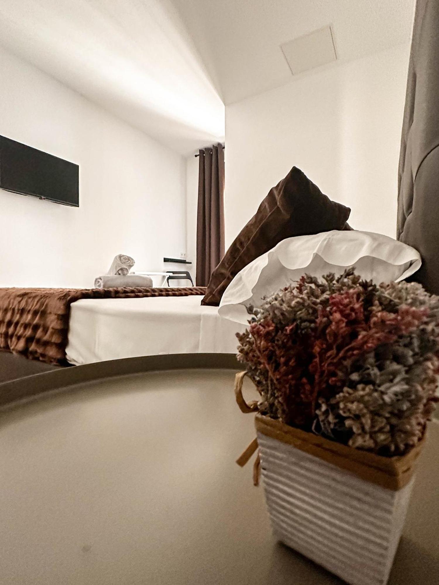 Guest house Arenal